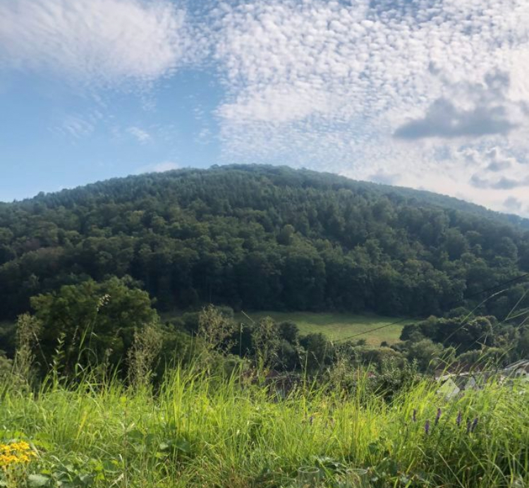 Aussicht von den Grundstücken